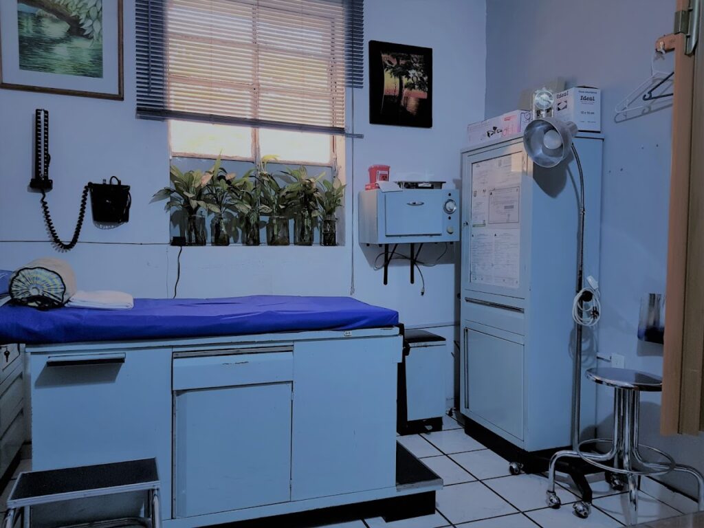 8333 consultorio medico dr. jaime rosiles espinoza 1024x768