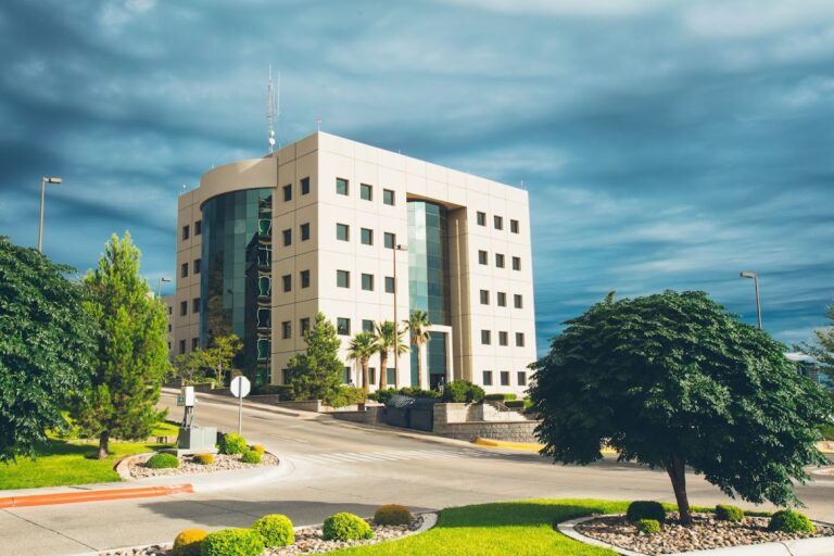 9449 copachisa 768x512