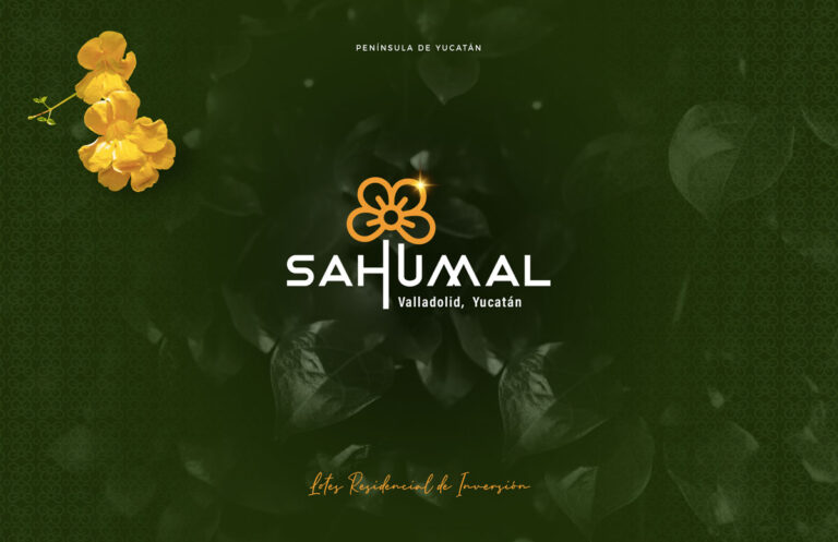 9965 sahumal valladolid 768x497