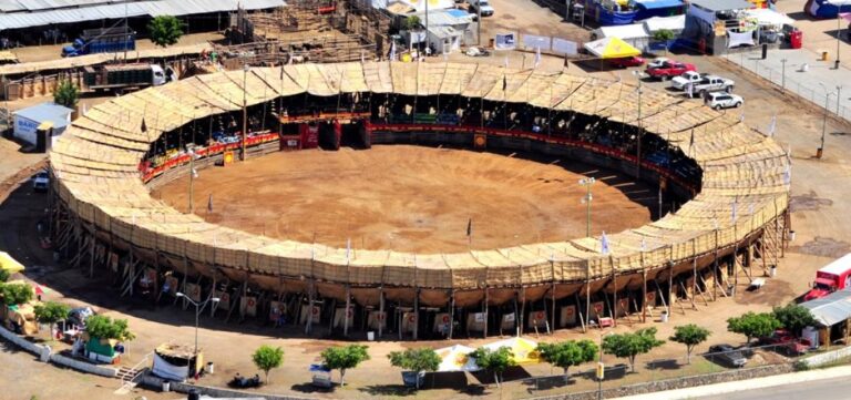 Petatera Subsectur Colima 768x361