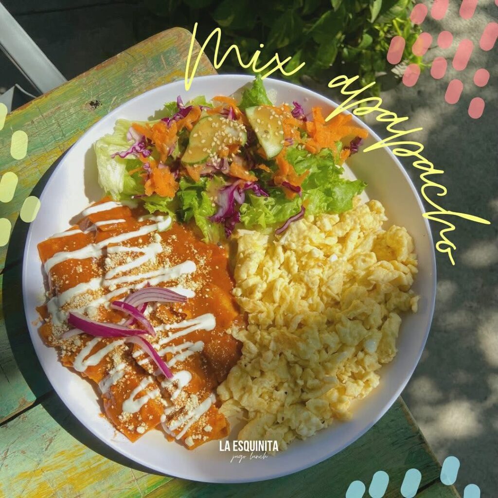 a92489b4 73c8 4fe9 9b6e 1ecdec80b00c 1024x1024