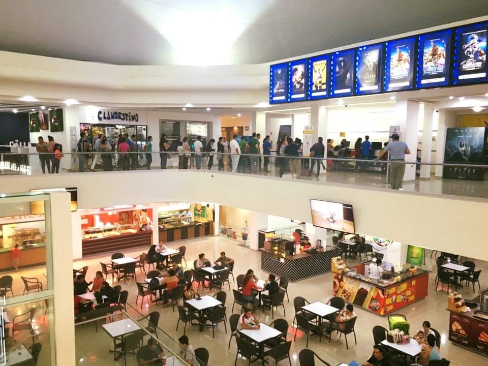 leetx-google-photo-1770150009084-5-1 leetx-google-photo-1770150009084-5-1