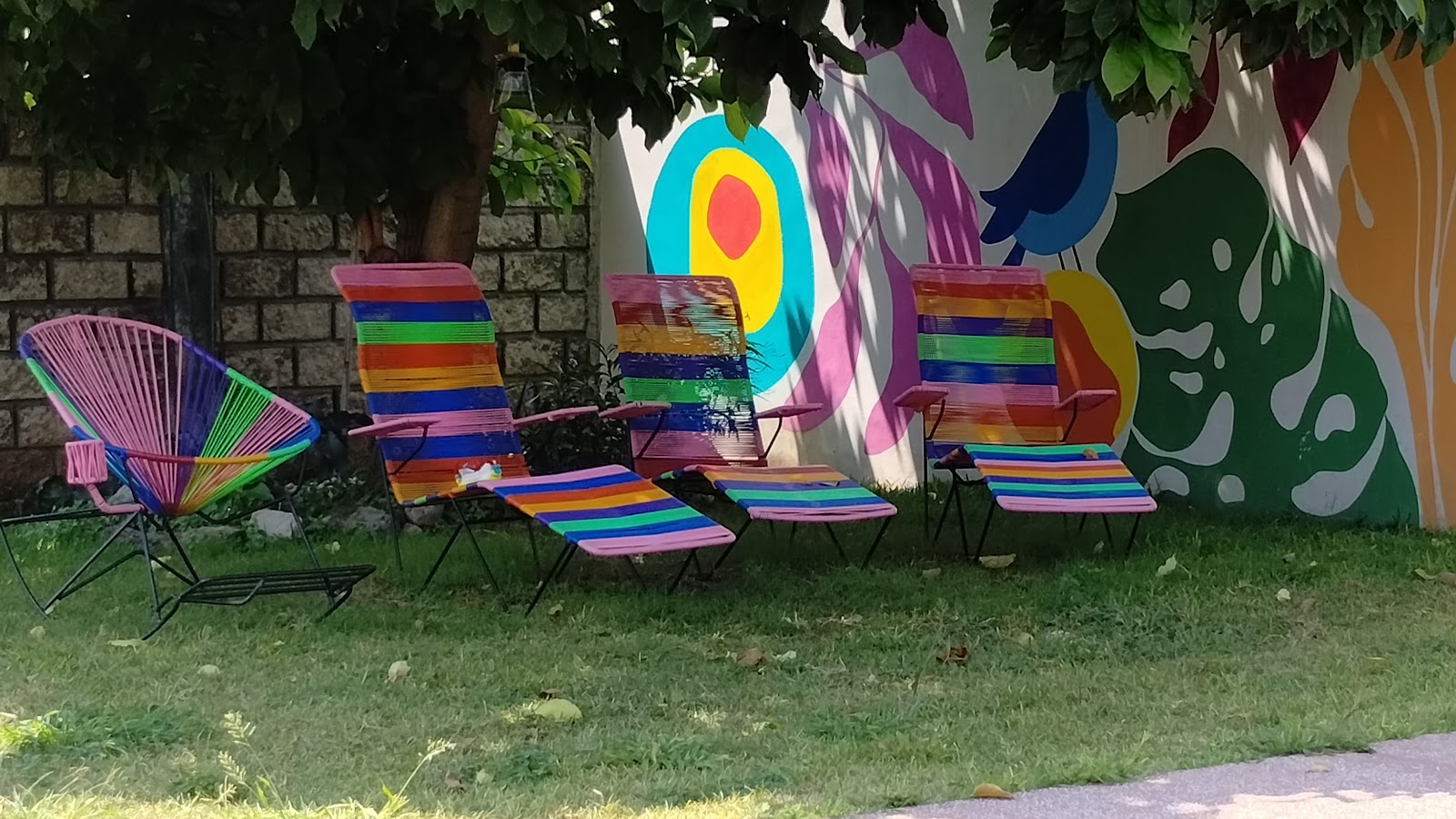 leetx-google-photo-1770152766294-3-1 leetx-google-photo-1770152766294-3-1