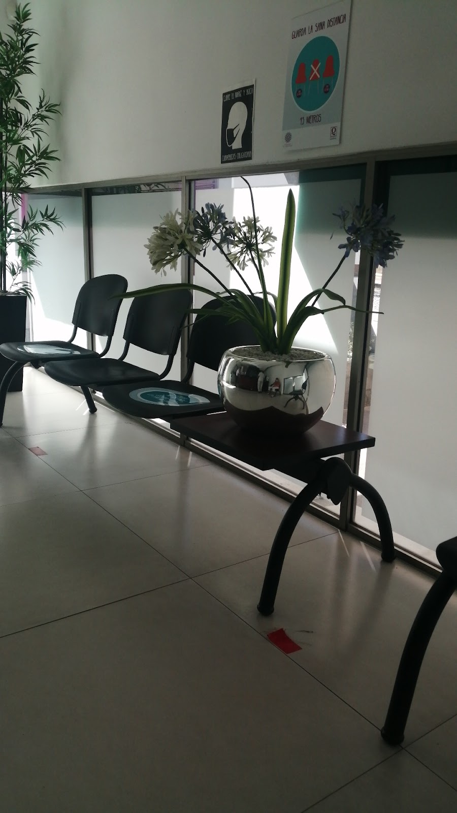 leetx-google-photo-1770154660478-1-1 leetx-google-photo-1770154660478-1-1