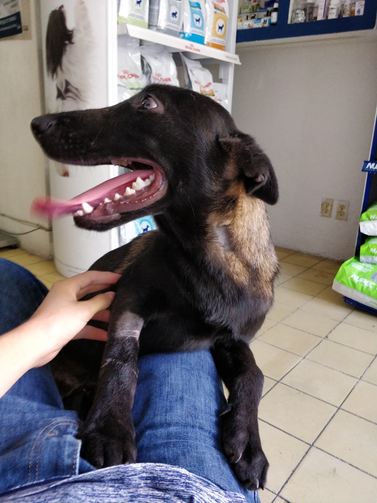 leetx-google-photo-1770165581887-4-1 leetx-google-photo-1770165581887-4-1