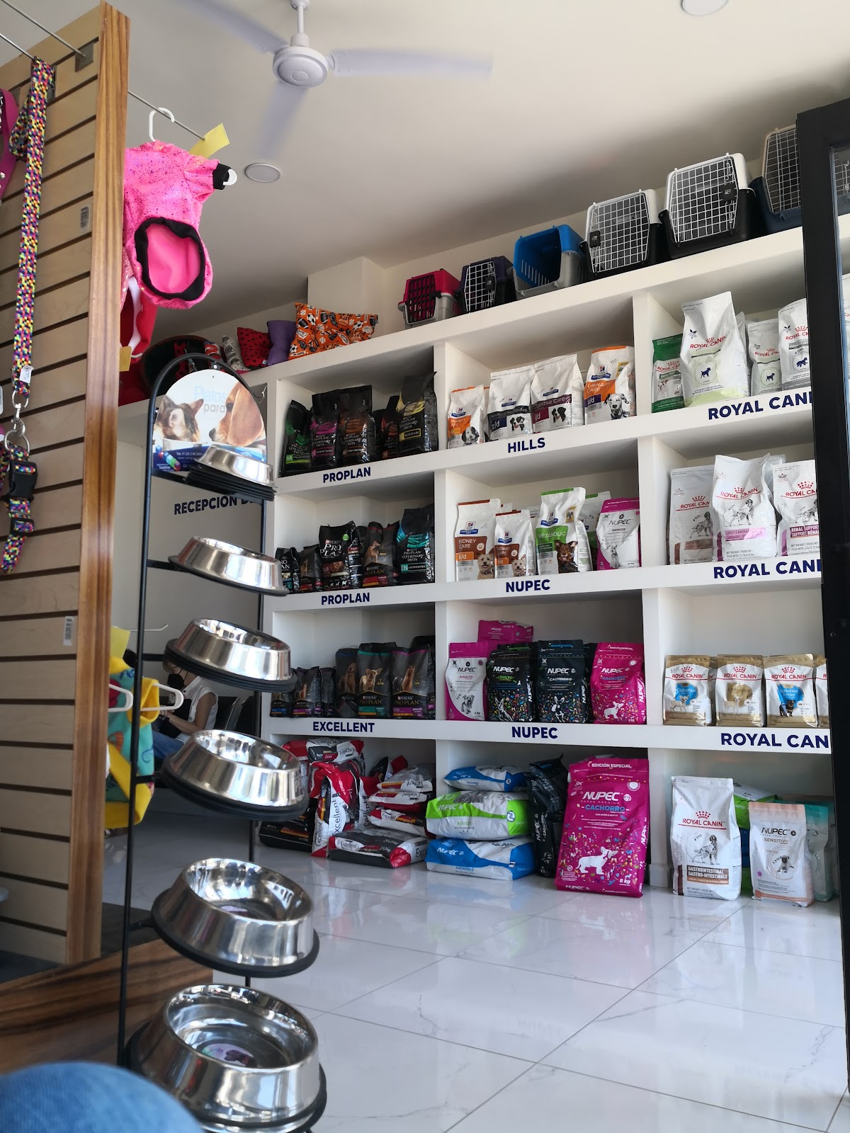 leetx-google-photo-1770165583702-5-1 leetx-google-photo-1770165583702-5-1