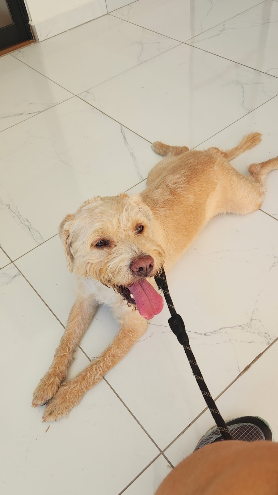 leetx-google-photo-1770165586861-7-1 leetx-google-photo-1770165586861-7-1