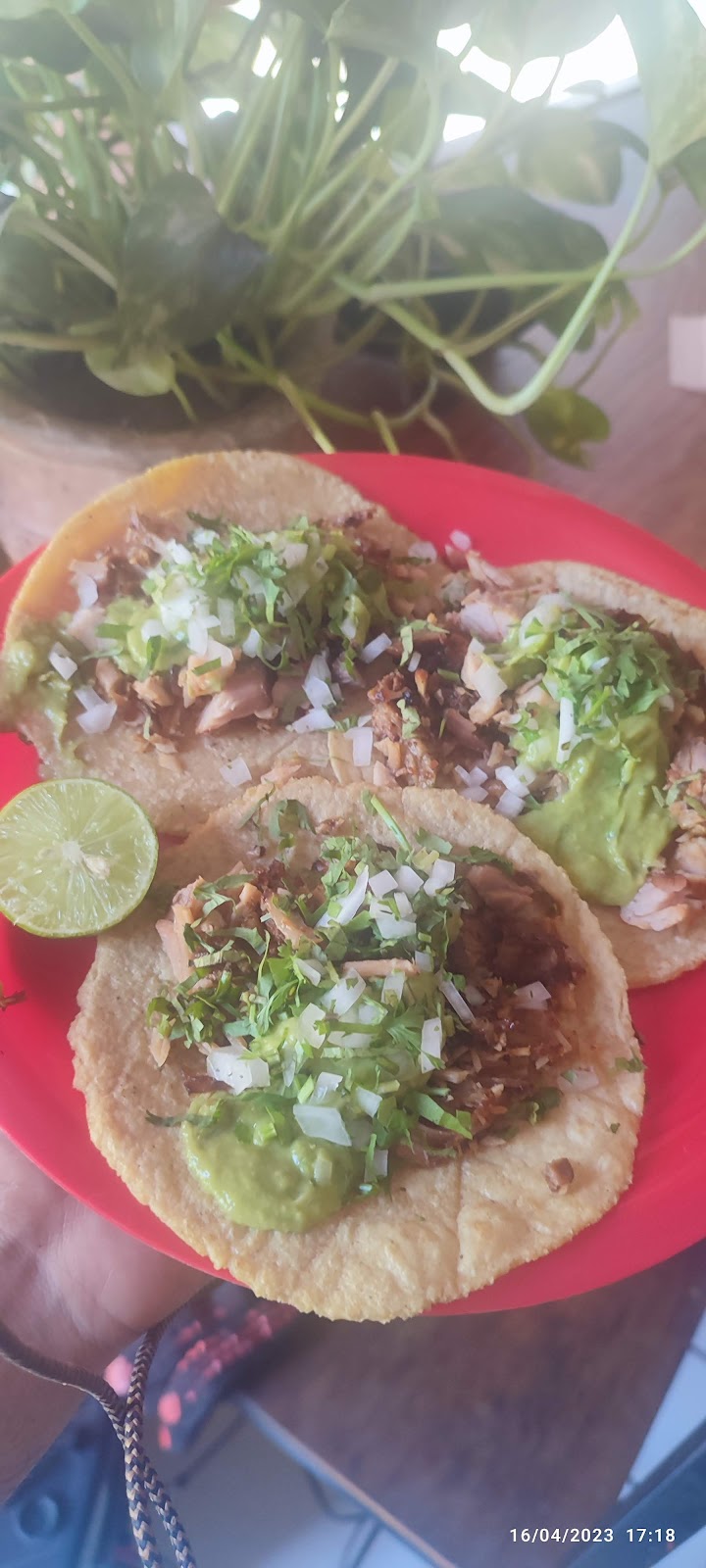 leetx-google-photo-1770165629651-6-1 leetx-google-photo-1770165629651-6-1