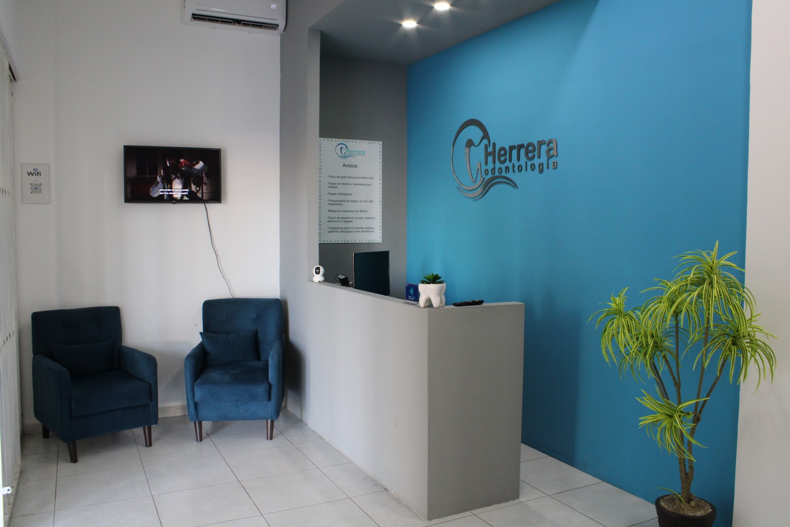 leetx-google-photo-1770166681266-3-1 leetx-google-photo-1770166681266-3-1