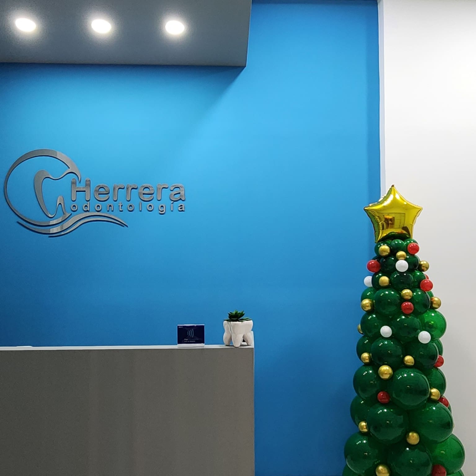 leetx-google-photo-1770166685449-5-1 leetx-google-photo-1770166685449-5-1