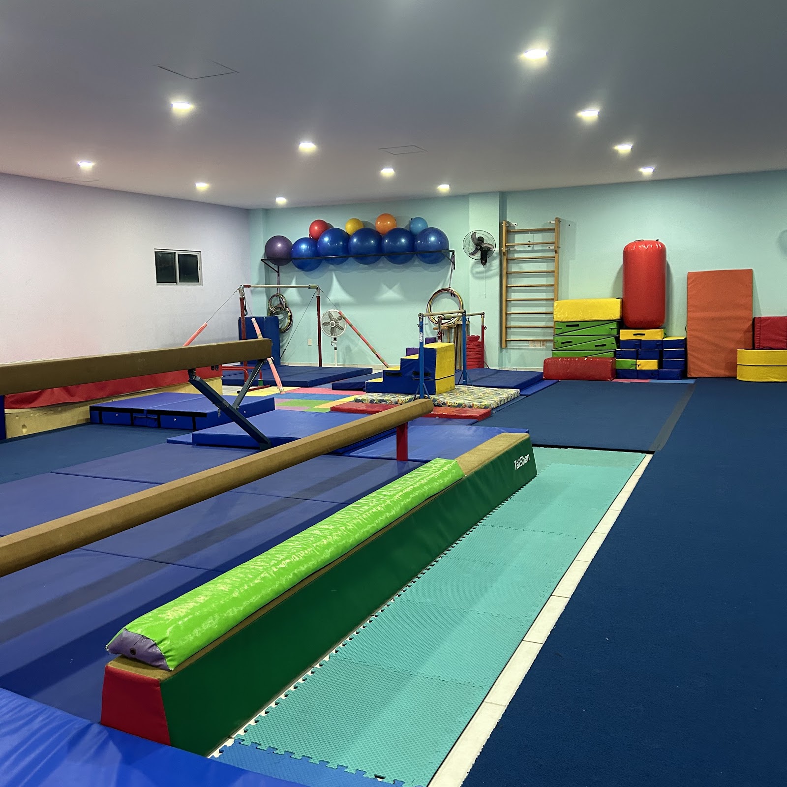 leetx-google-photo-1770167550220-7-1 leetx-google-photo-1770167550220-7-1