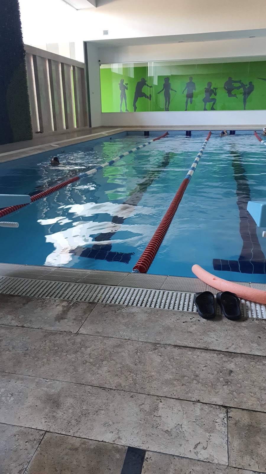 leetx-google-photo-1770167710067-4-1 leetx-google-photo-1770167710067-4-1