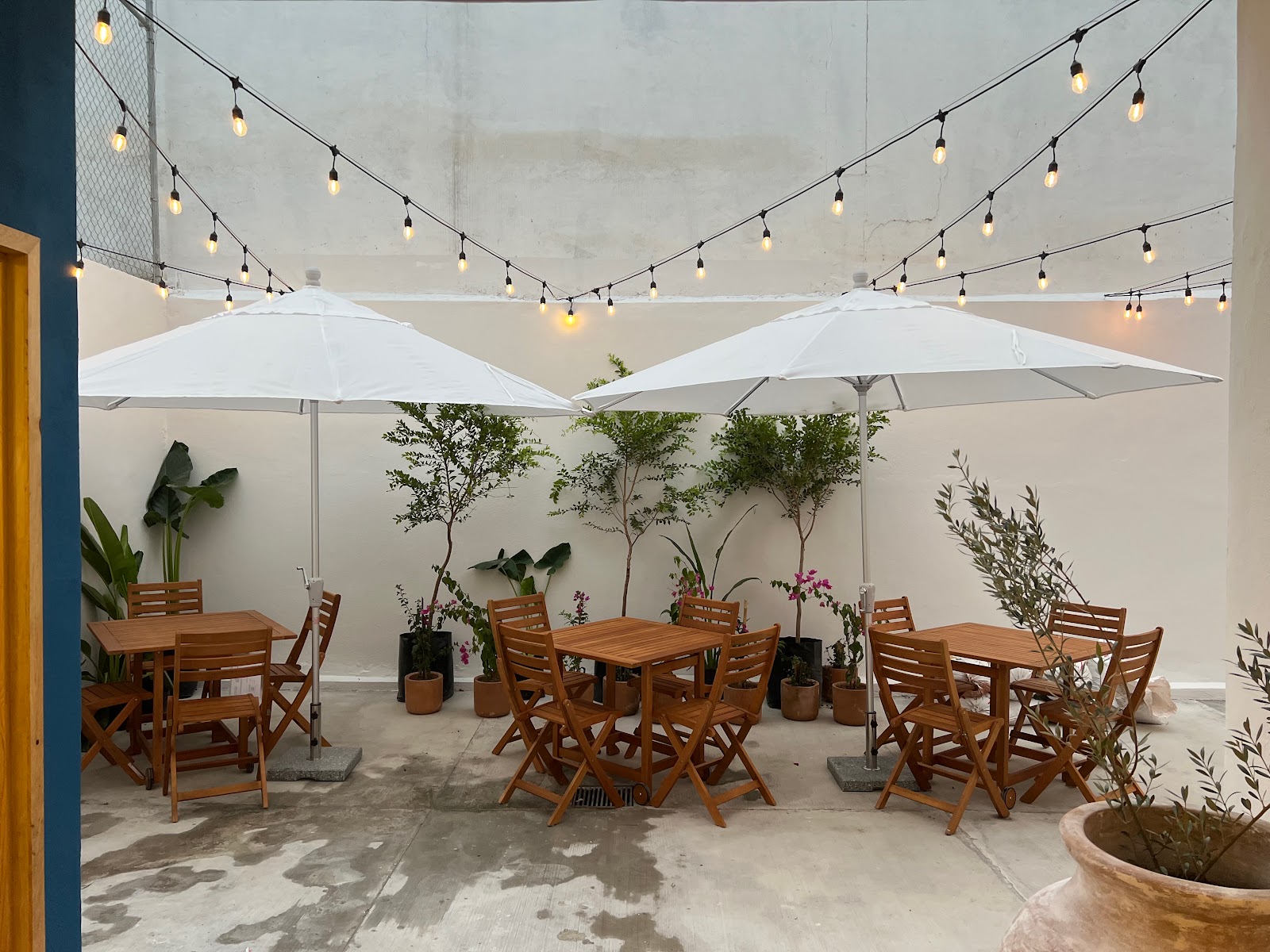 leetx-google-photo-1770169258292-6-1 leetx-google-photo-1770169258292-6-1