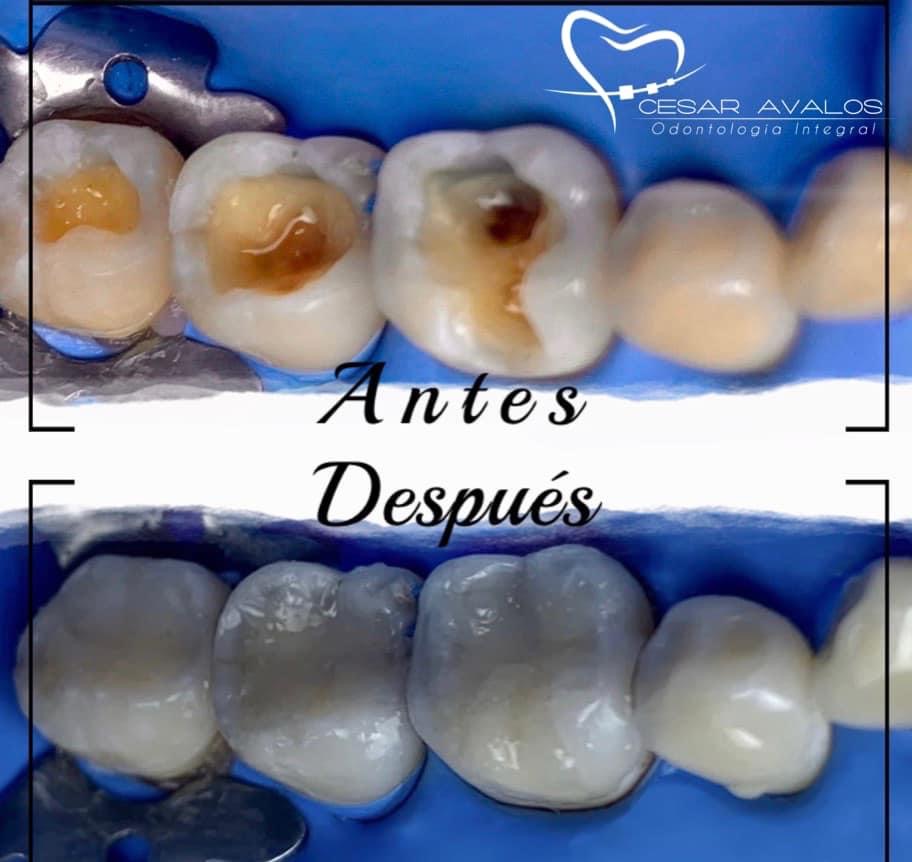 leetx-google-photo-1770169506263-6-1 leetx-google-photo-1770169506263-6-1