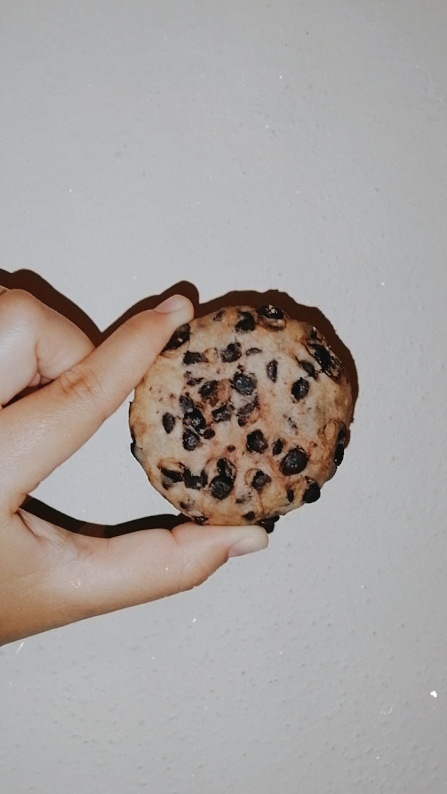 leetx-google-photo-1770178256287-7-1 leetx-google-photo-1770178256287-7-1