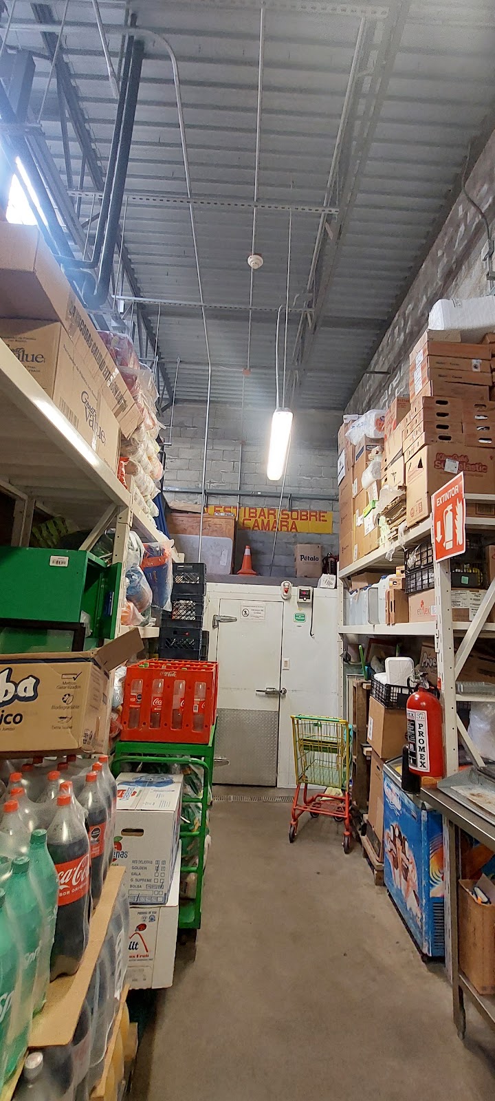 leetx-google-photo-1770316101372-1-1 leetx-google-photo-1770316101372-1-1