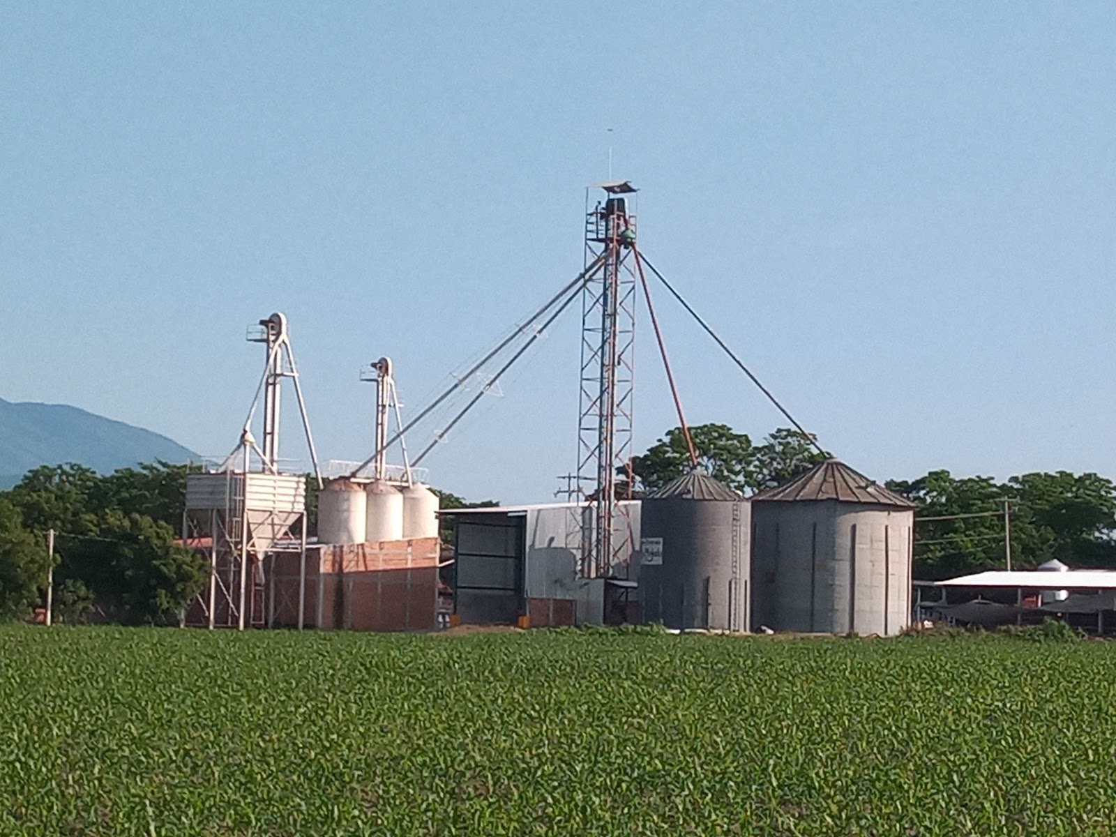 leetx-google-photo-1770330958357-1-1 leetx-google-photo-1770330958357-1-1