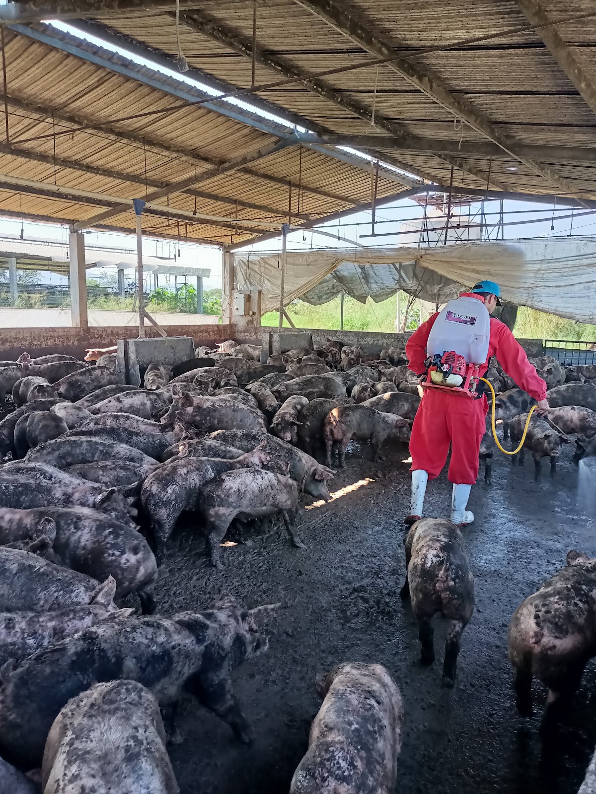 leetx-google-photo-1770330960507-2-1 leetx-google-photo-1770330960507-2-1