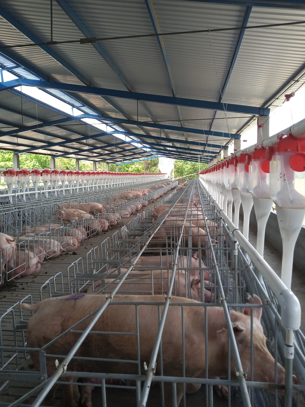 leetx-google-photo-1770330964935-4-1 leetx-google-photo-1770330964935-4-1