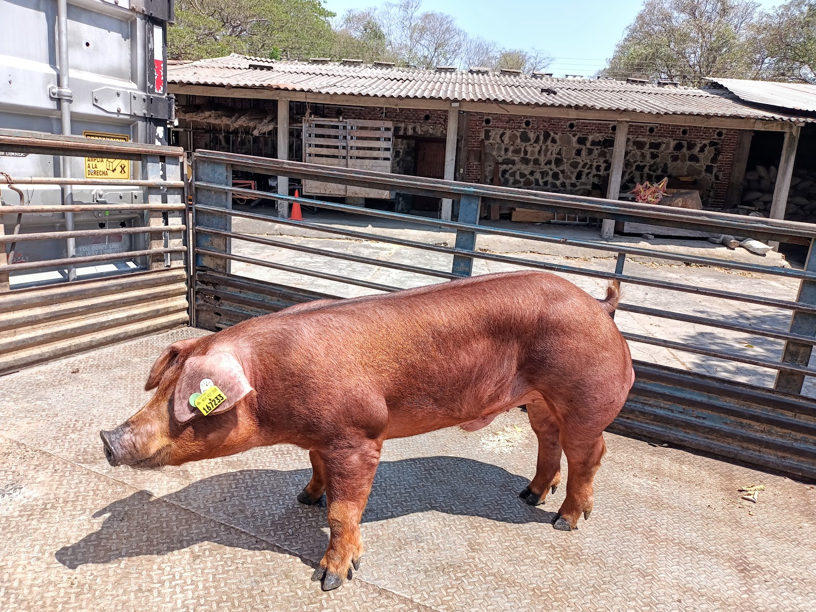 leetx-google-photo-1770330967145-5-1 leetx-google-photo-1770330967145-5-1