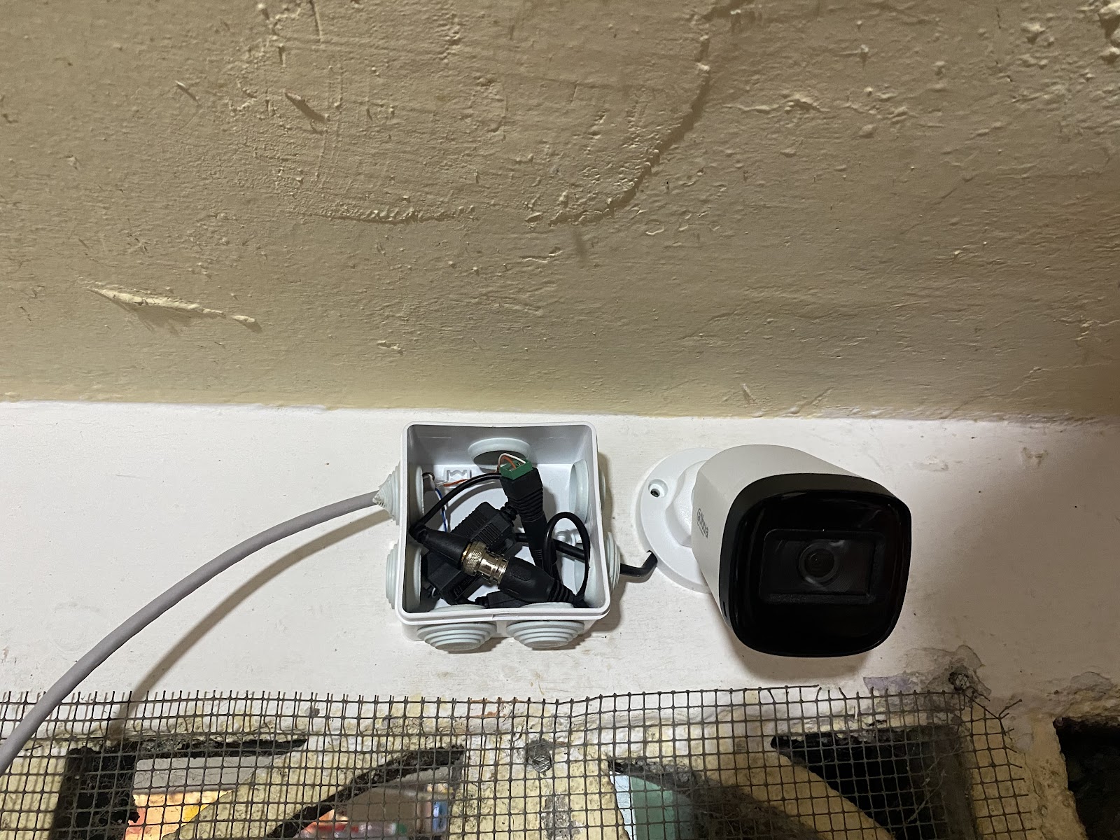 leetx-google-photo-1770331353443-2-1 leetx-google-photo-1770331353443-2-1