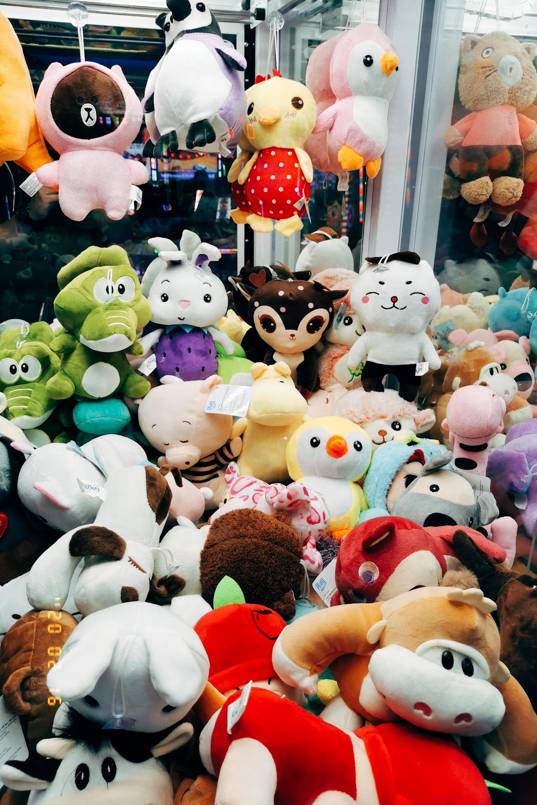 leetx-google-photo-1770421416117-0-5 leetx-google-photo-1770421416117-0-5