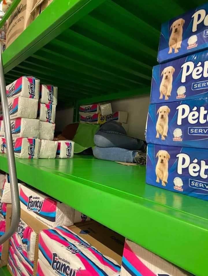 leetx-google-photo-43712-9 leetx-google-photo-43712-9