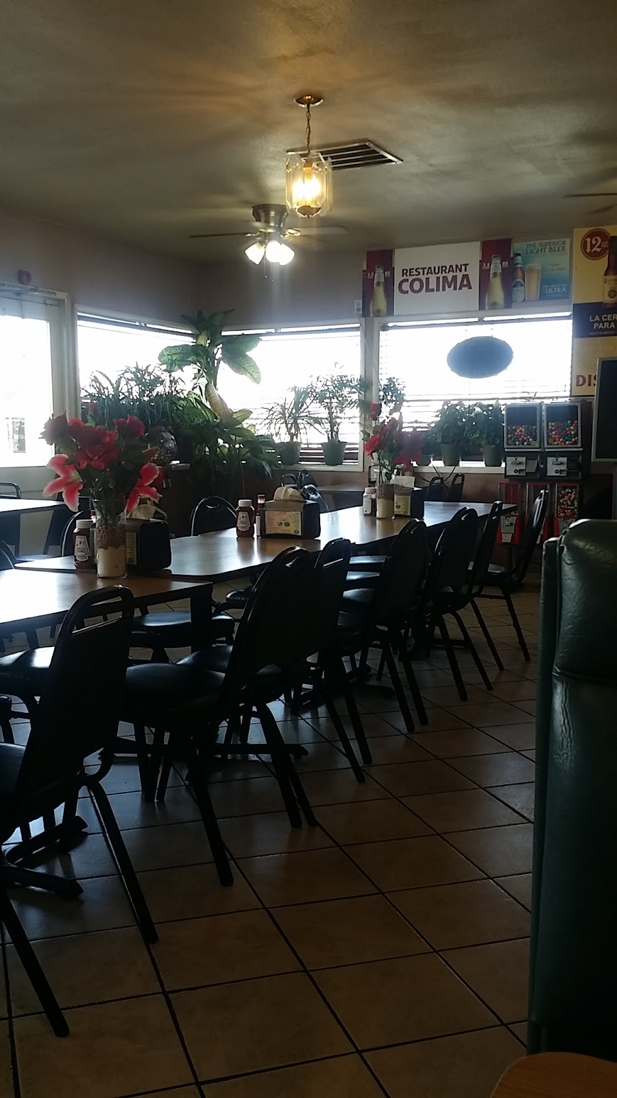 leetx-google-photo-44797-8-1 leetx-google-photo-44797-8-1