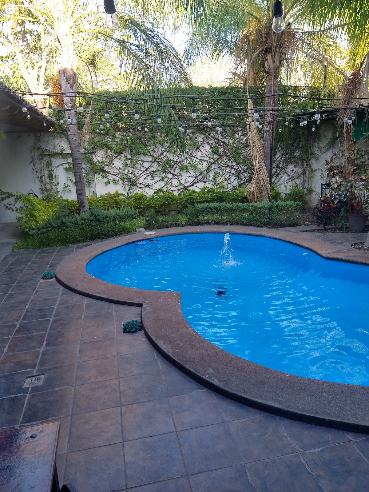 leetx-google-photo-45198-4 leetx-google-photo-45198-4