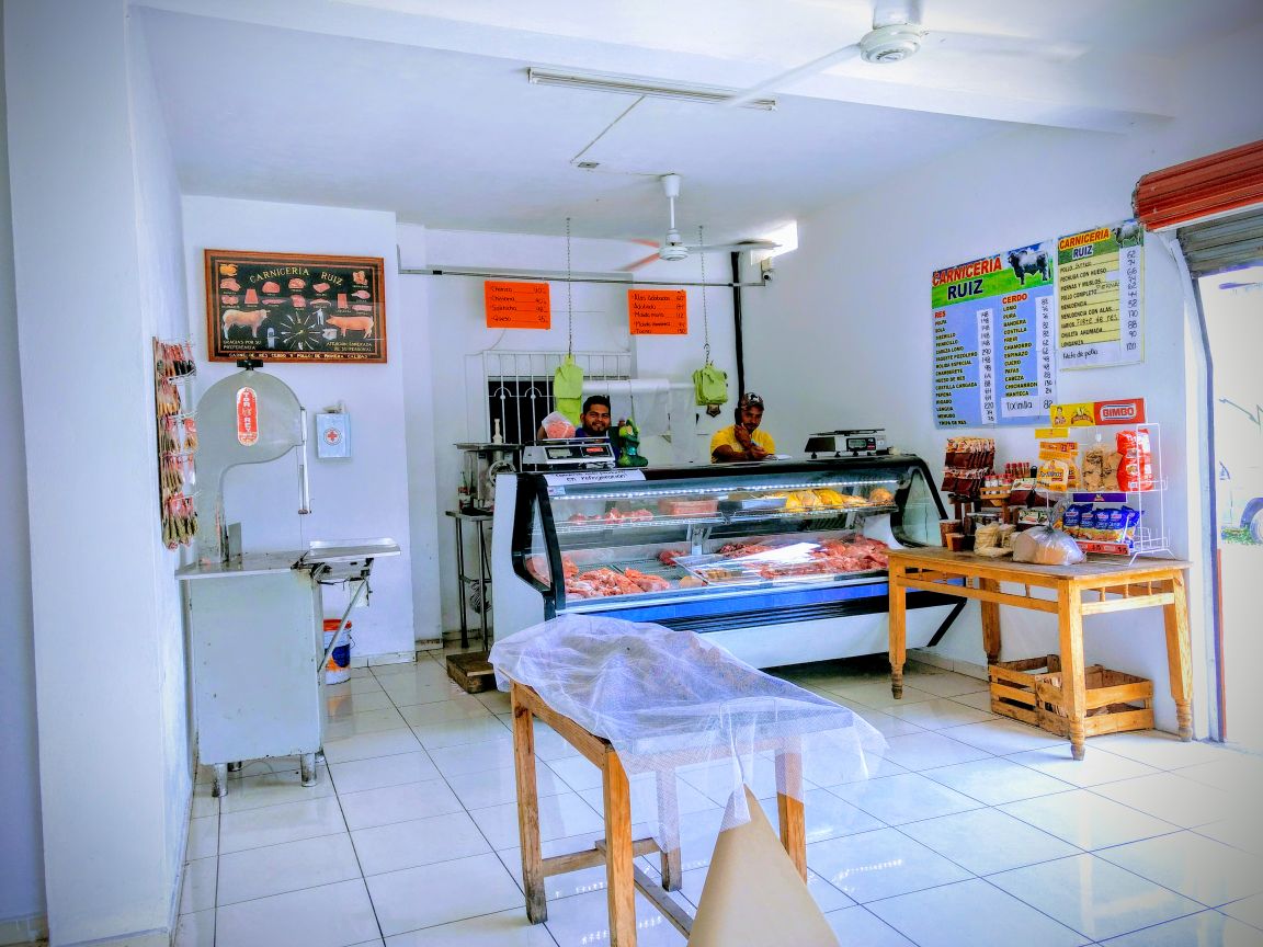 leetx-google-photo-45396-3 leetx-google-photo-45396-3