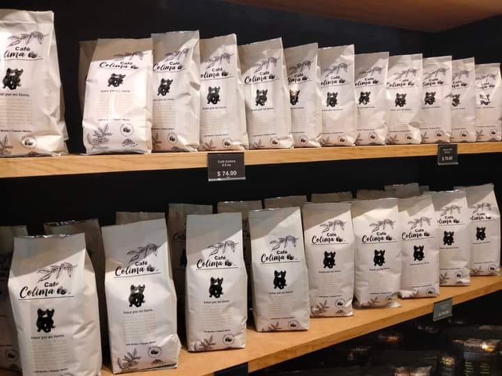 leetx-google-photo-45532-6 leetx-google-photo-45532-6