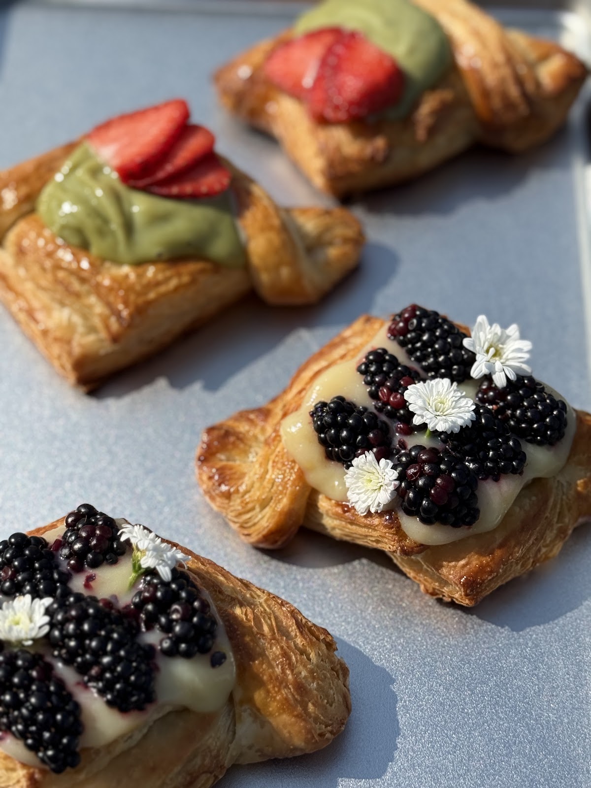 leetx-google-photo-45559-6 leetx-google-photo-45559-6