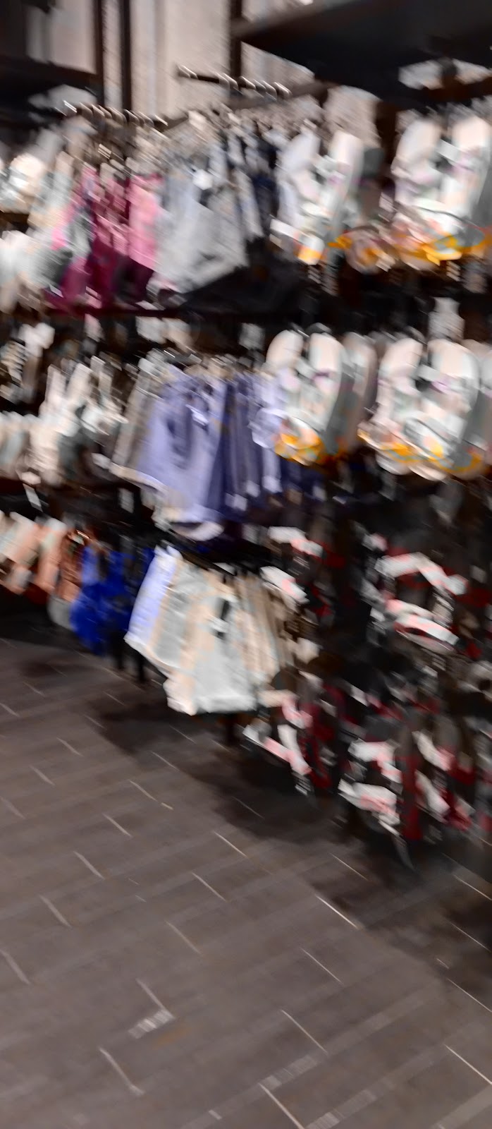 leetx-google-photo-45779-8 leetx-google-photo-45779-8