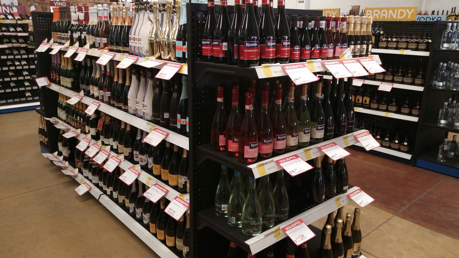 leetx-google-photo-45860-6 leetx-google-photo-45860-6