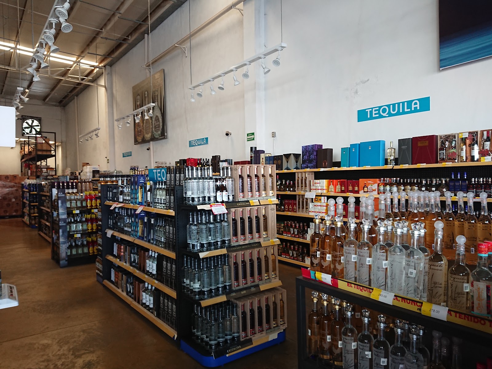 leetx-google-photo-45860-8 leetx-google-photo-45860-8