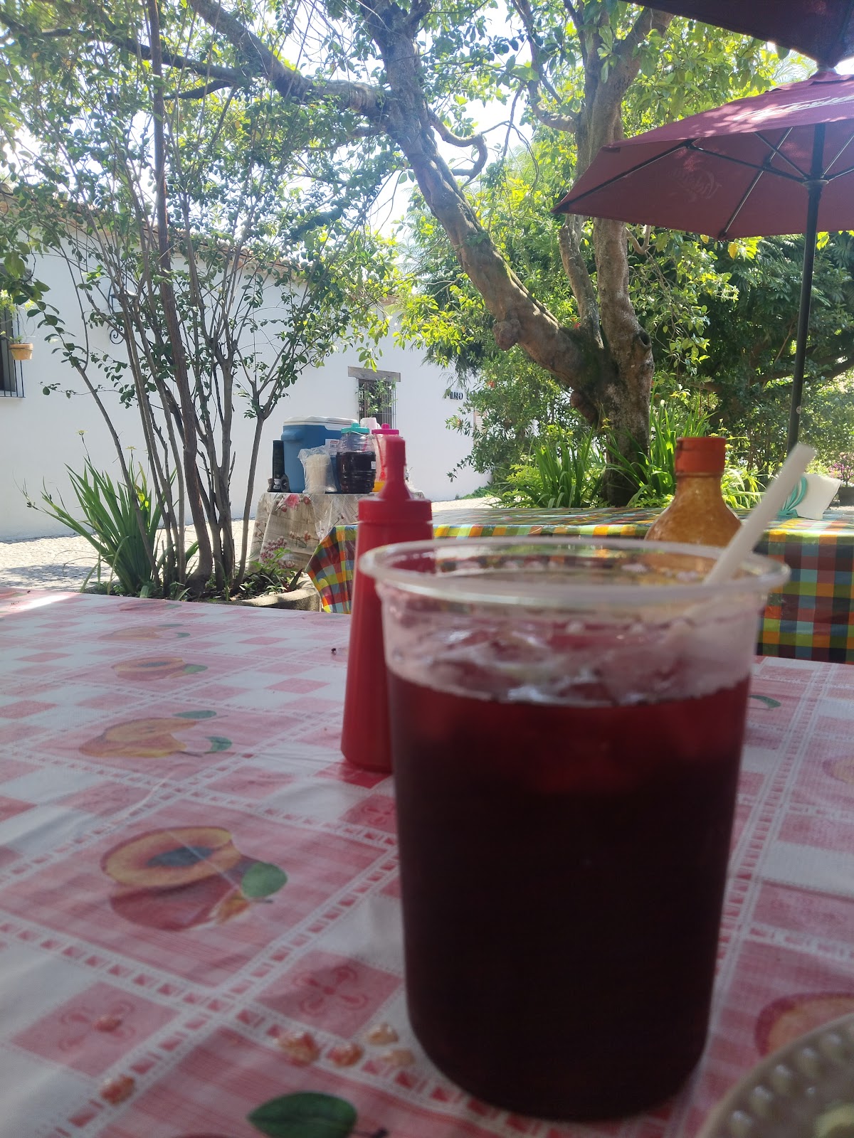 leetx-google-photo-46390-6 leetx-google-photo-46390-6