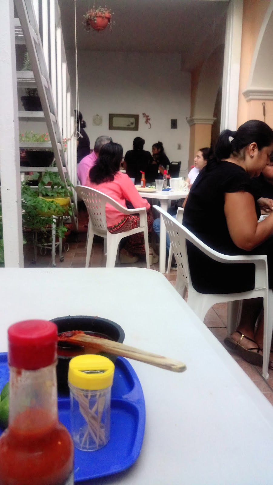 leetx-google-photo-46399-5 leetx-google-photo-46399-5