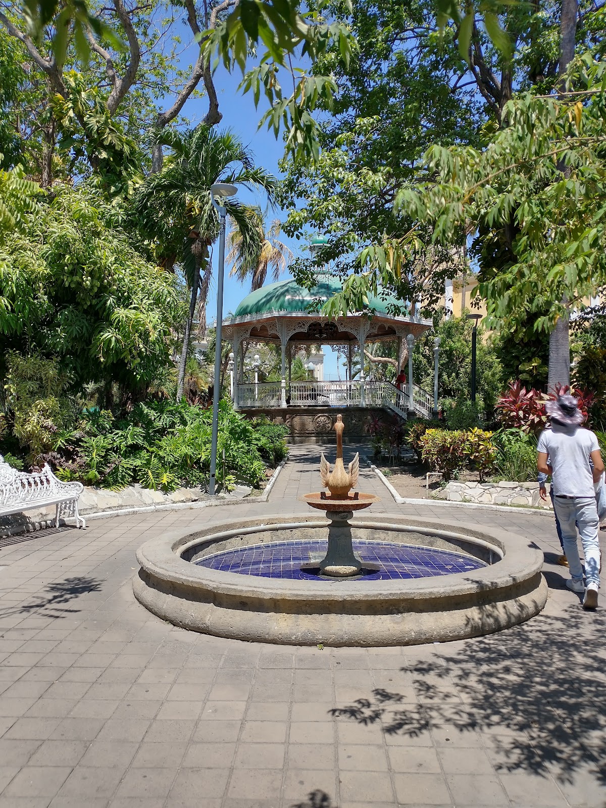 leetx-google-photo-46607-6 leetx-google-photo-46607-6