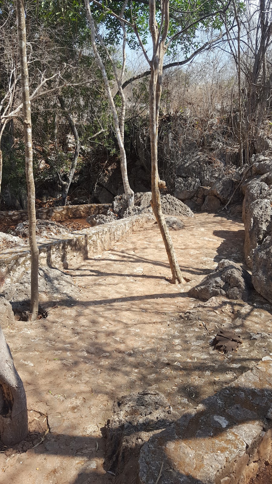 leetx-google-photo-47049-4 leetx-google-photo-47049-4