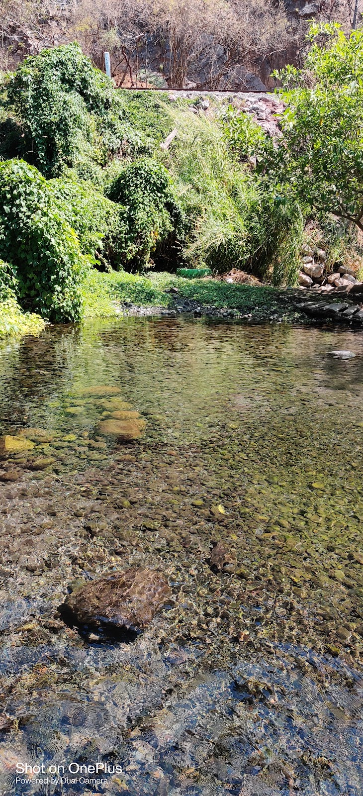 leetx-google-photo-47121-5 leetx-google-photo-47121-5