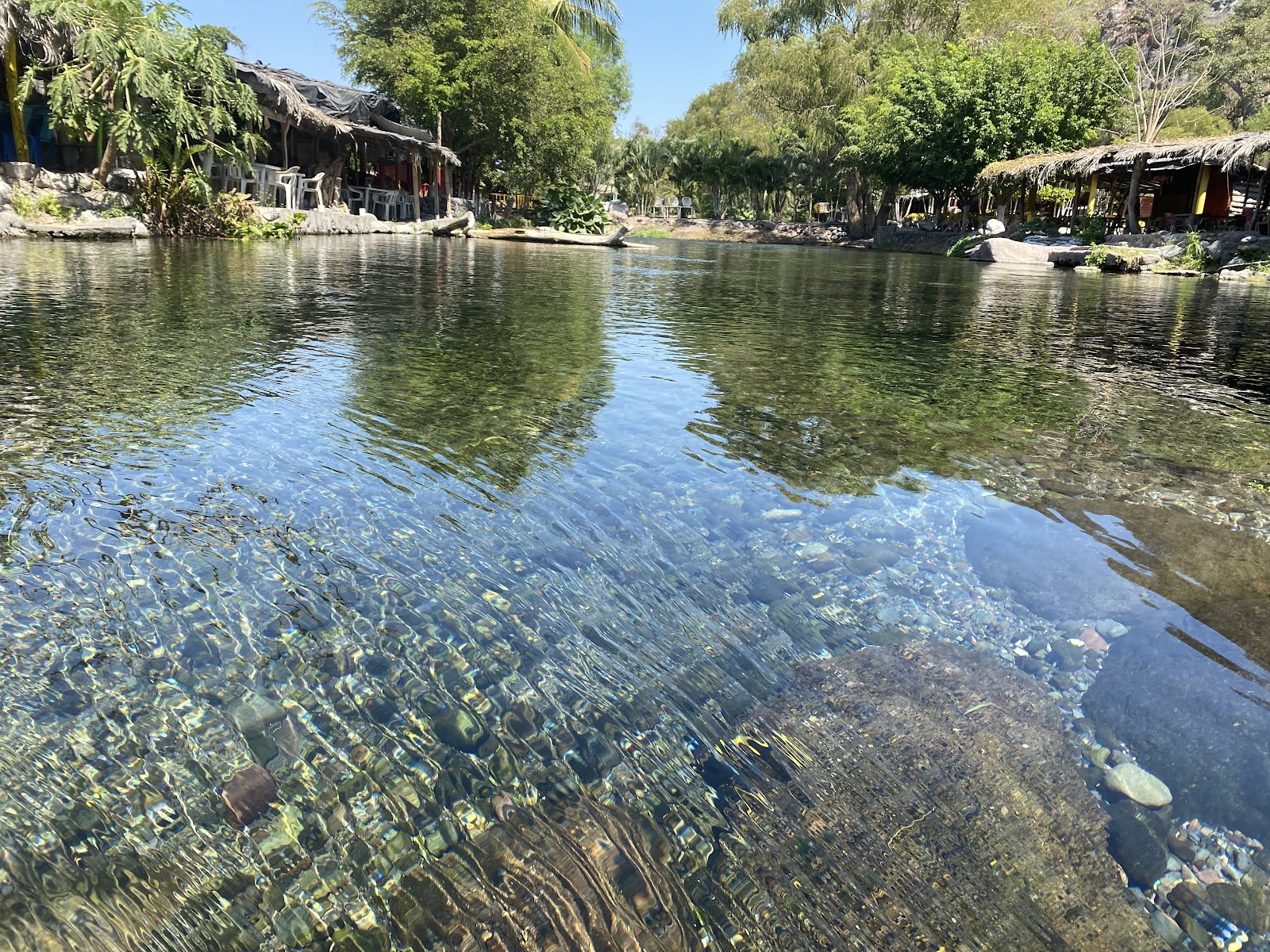 leetx-google-photo-47121-7 leetx-google-photo-47121-7