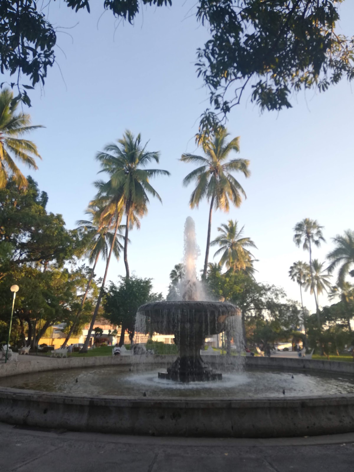 leetx-google-photo-47142-2 leetx-google-photo-47142-2