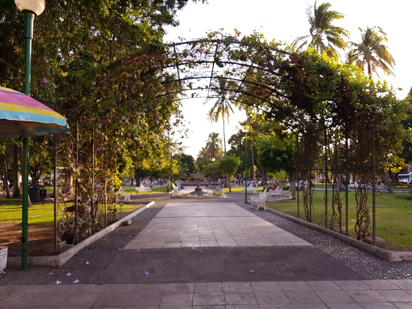 leetx-google-photo-47142-3 leetx-google-photo-47142-3