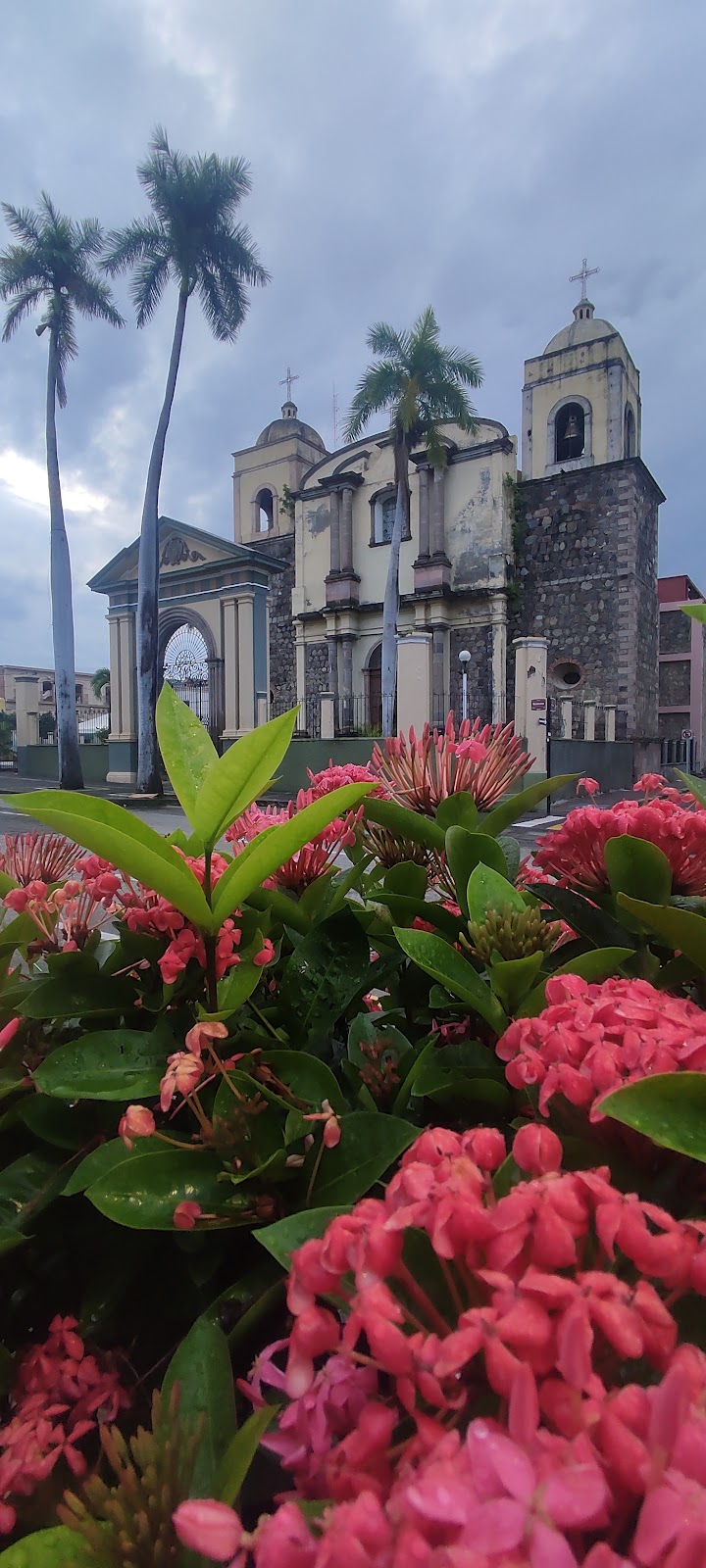 leetx-google-photo-47142-5 leetx-google-photo-47142-5