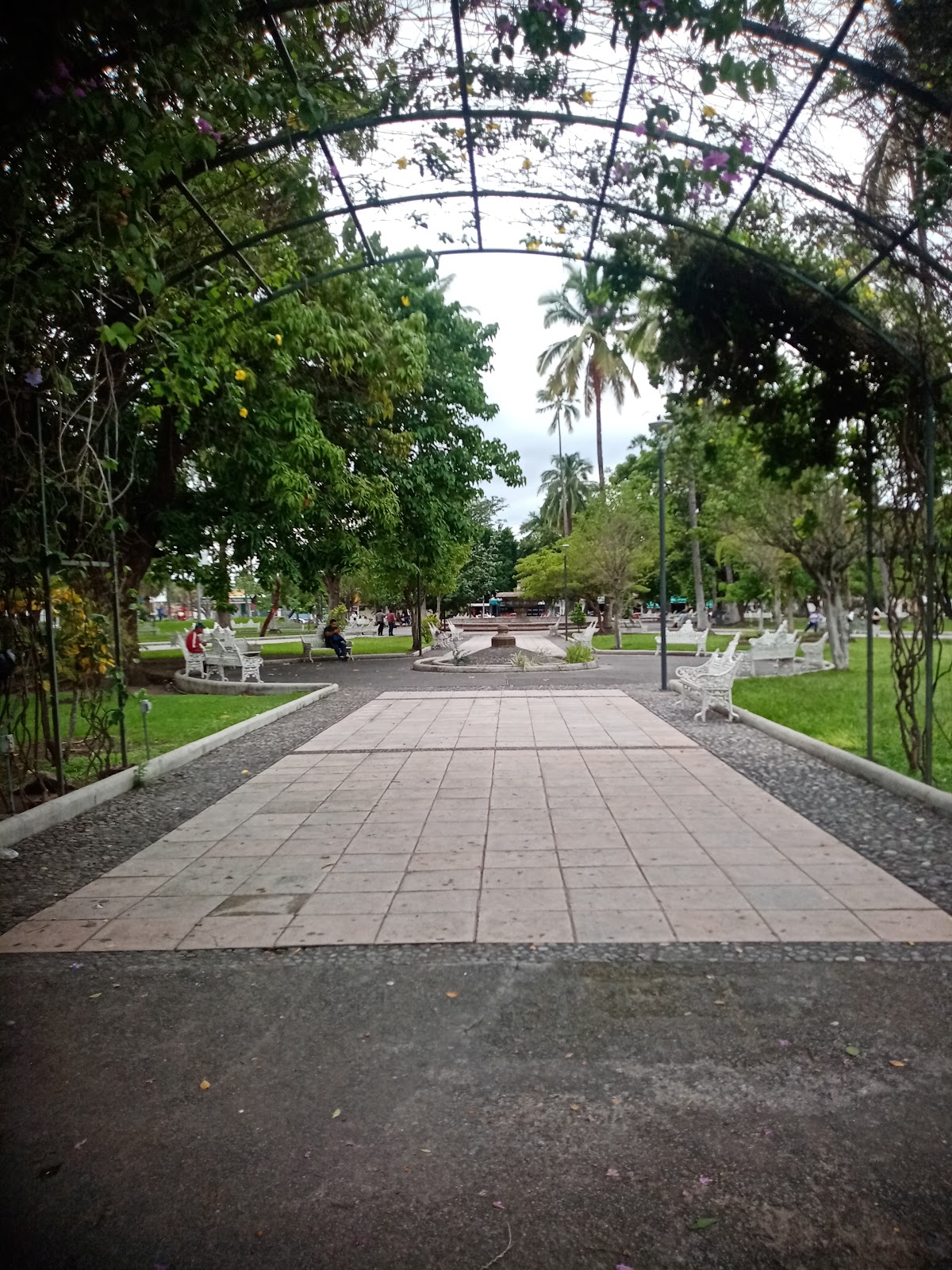 leetx-google-photo-47142-7 leetx-google-photo-47142-7