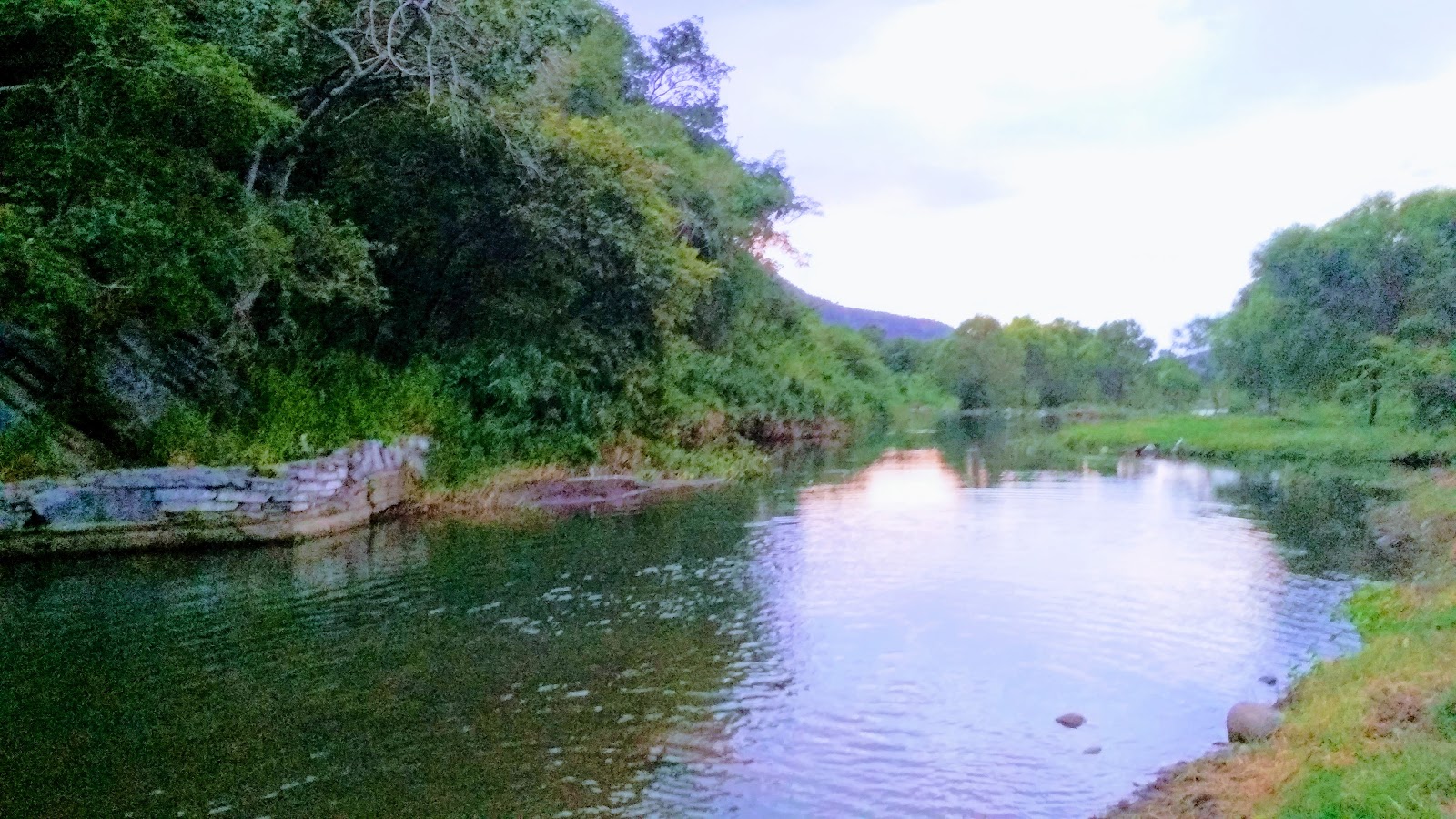 leetx-google-photo-47151-3 leetx-google-photo-47151-3