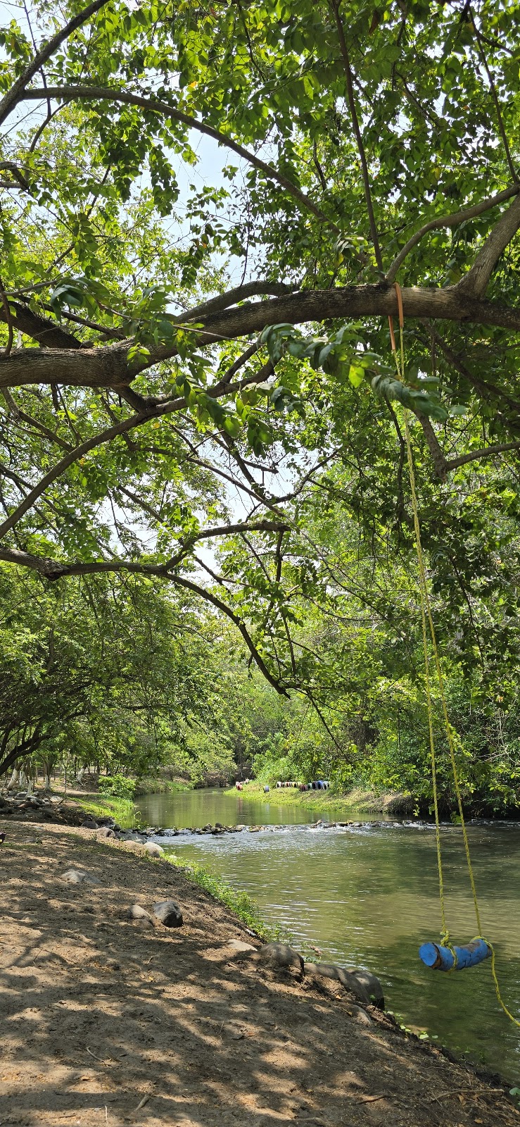 leetx-google-photo-47151-4 leetx-google-photo-47151-4