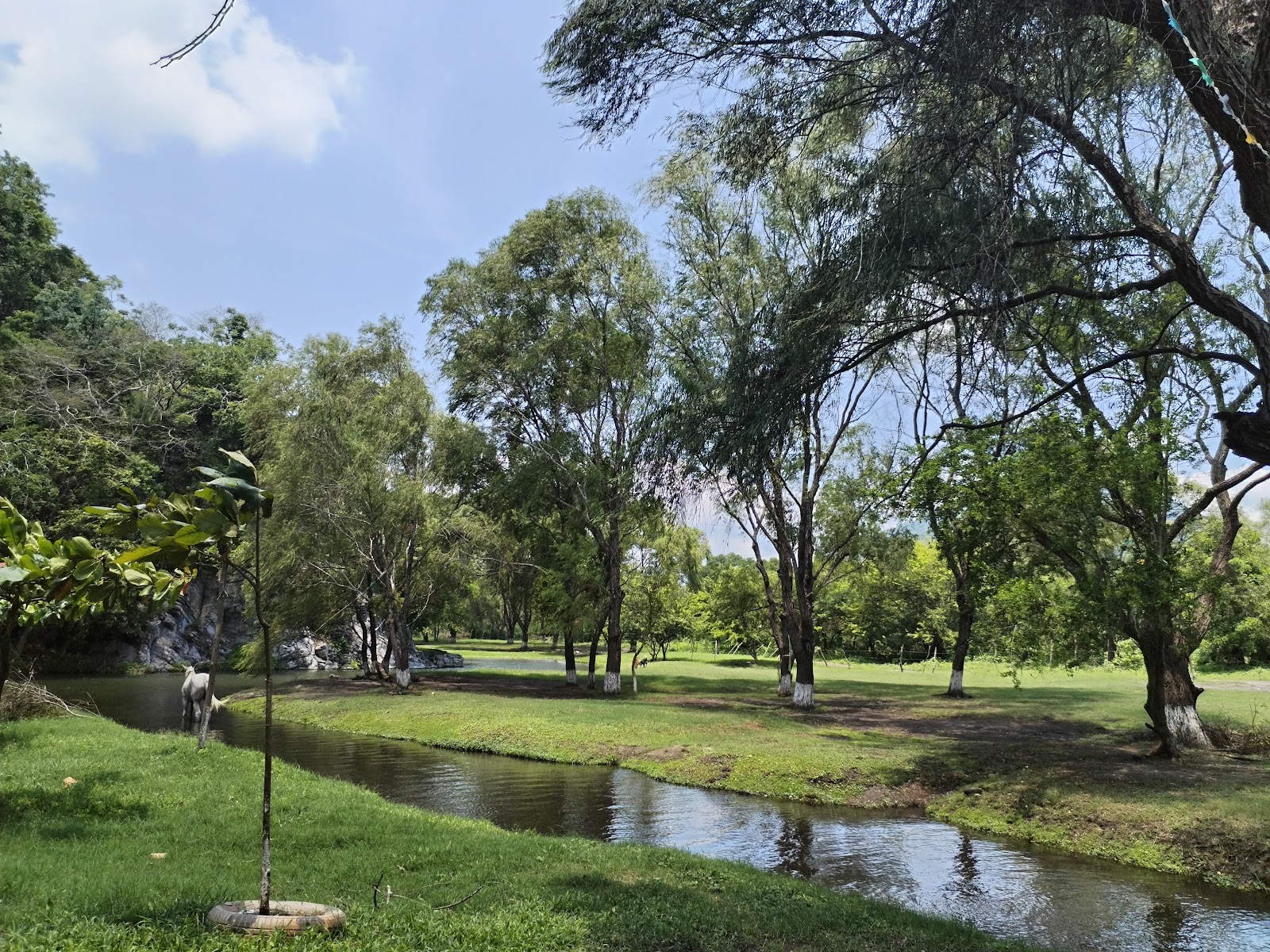 leetx-google-photo-47151-7 leetx-google-photo-47151-7