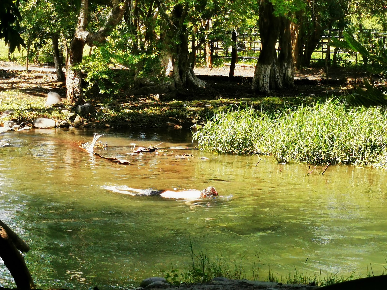 leetx-google-photo-47151-8 leetx-google-photo-47151-8