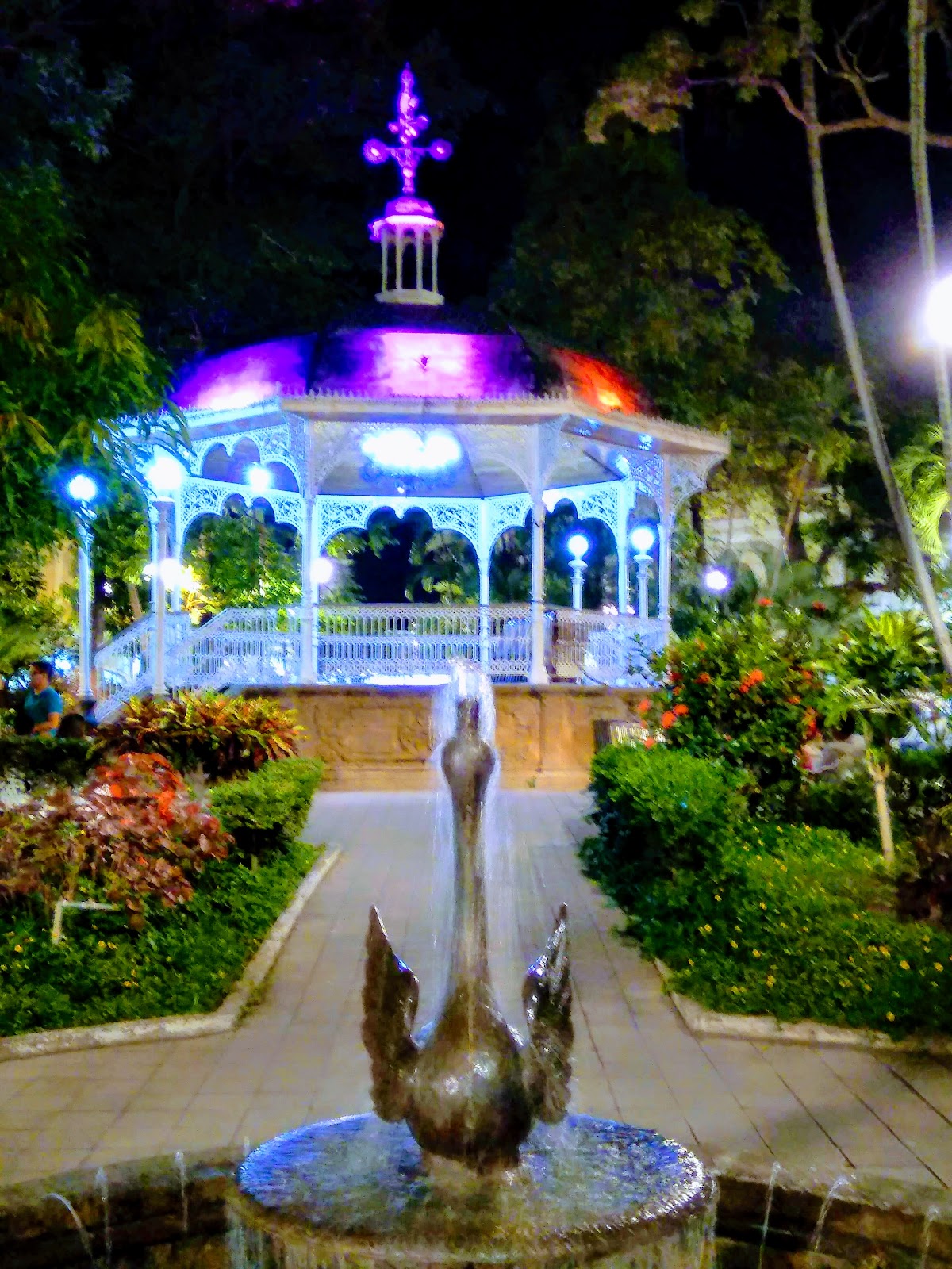 leetx-google-photo-47196-8 leetx-google-photo-47196-8